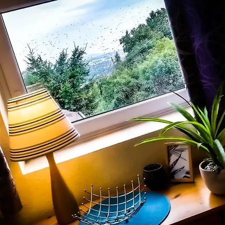 Tomi Apartman *